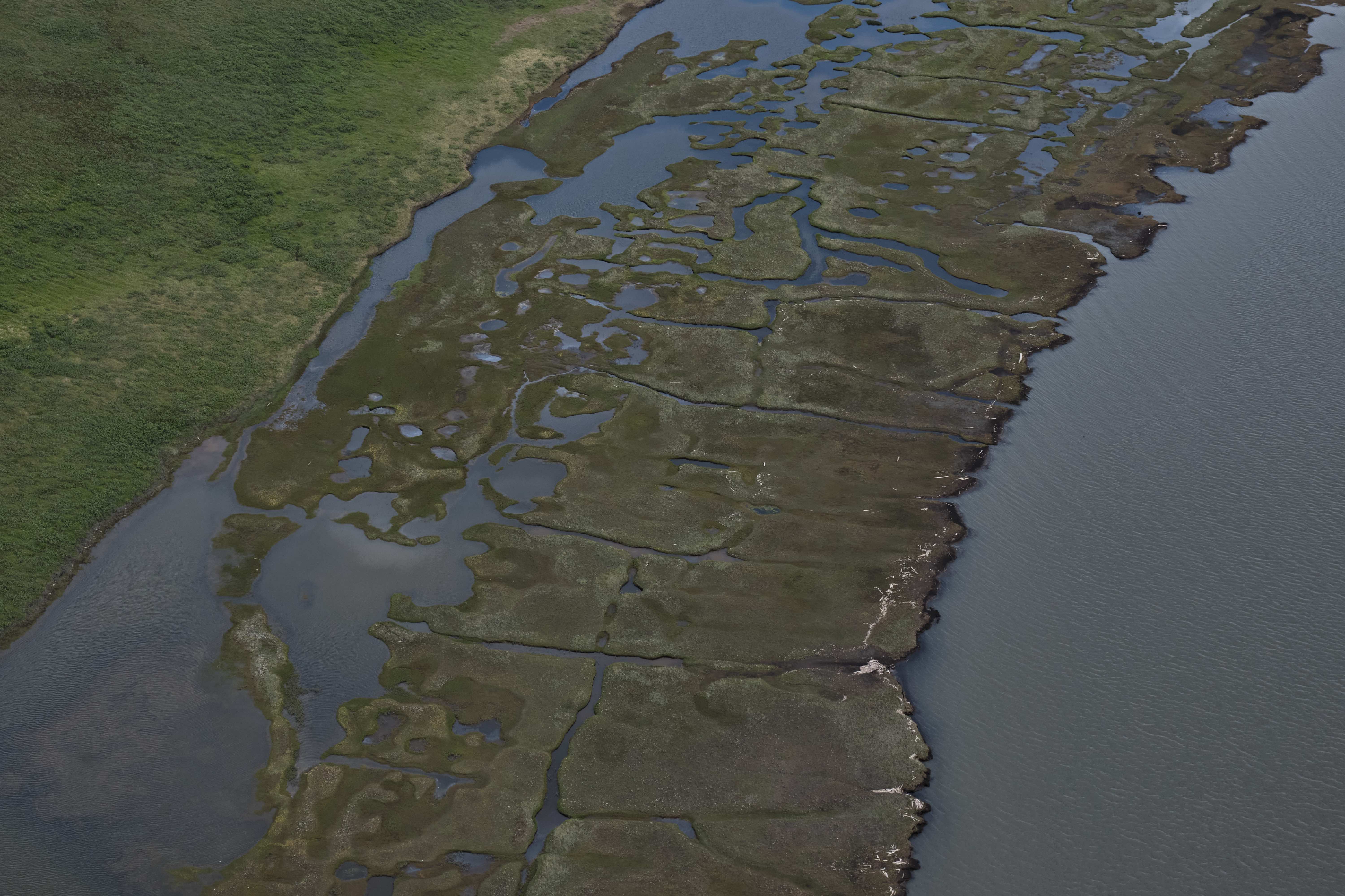Small watersheds may play a disproportionate role in arctic land-ocean fluxes